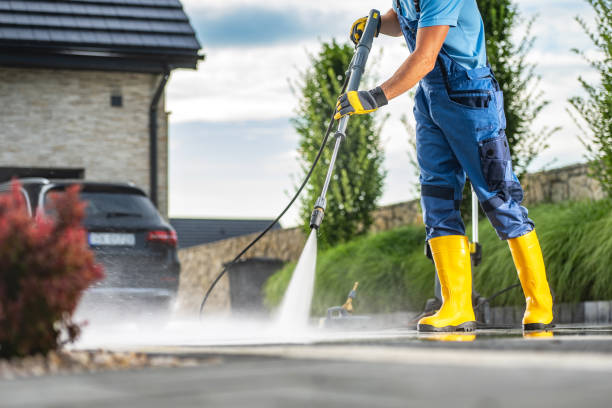 Best Solar Panel Cleaning  in Dodson Branch, TN